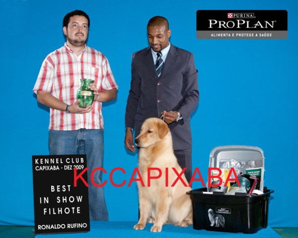 Clique sobre a foto para fechar